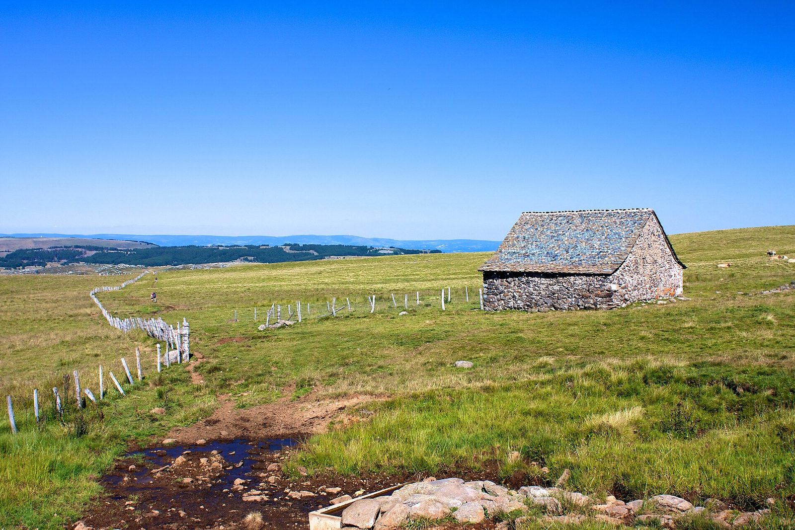 Paysages de Aubrac : Estives, burons de granit et grands espaces de silence