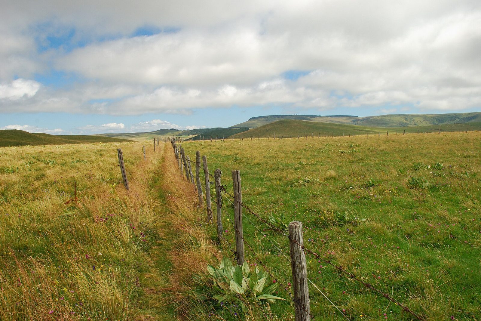 Paysages de Auvergne : Volcans érodés, plateaux d'estive et villages de lave
